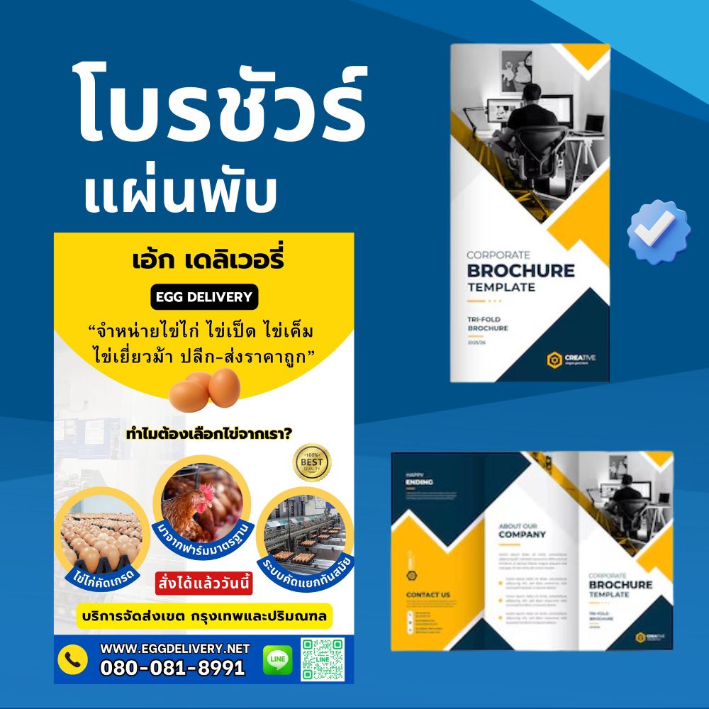 รับออกแบบโบรชัวร์ / แผ่นพับ /Catalog